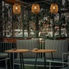 Battery Operated Outdoor Chandelier for Gazebo Pendant Light with Remote