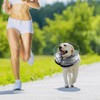 Dog Inflatable Collar, Recovery Collar for Dog, Enhanced Inflatable Dog