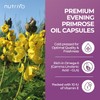 Evening Primrose Oil 1000mg | 90 Capsules | High-Strength Cold-Pressed