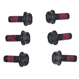 Sea-Doo New OEM PWC Flywheel Magneto Screw/Bolt Kit 4-Tec Stroke, 295501162