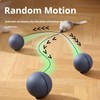WEIWYWW Interactive Cat Ball Toy, Automatic Rolling Motion with Feather