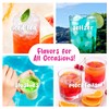 Hawaiian Shaved Ice Syrup, Pina Colada, Gallon