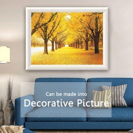 Queenie® Stained Art 1000 Piece Autumn Golden Yellow Forest Ginkgo Trees Fallen Leaves Fall Deciduous Landscape Adults Games Wooden Jigsaw Puzzles for Christmas Birthday Gifts