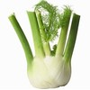 Cranberry Lane Fennel 100% Pure Essential Oil 50ml