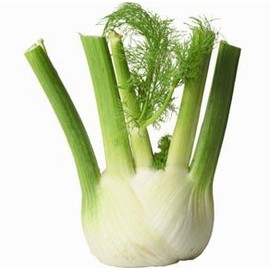 Cranberry Lane Fennel 100% Pure Essential Oil 50ml