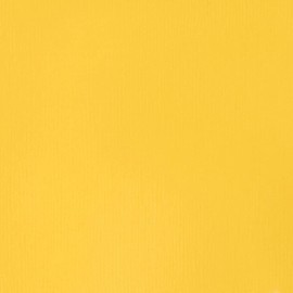 Liquitex Professional Heavy Body Acrylic Paint 2-Ounce Tube, Cadmium Yellow Light