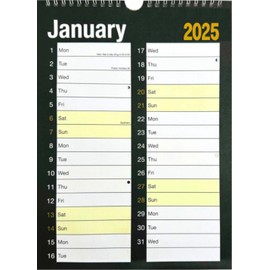2025 WALL CALENDAR HOME OFFICE, EASY LARGE MONTH TO VIEW (Large Print Planner)