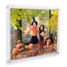 NIUBEE Clear Acrylic Wall Mount Floating Frameless Picture Frame Up to 18x24 Photo for Poster Photography Frames-Double Panel(Full Frame is 20.5x26.5 inch)