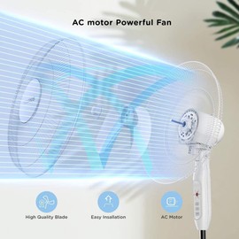 PELONIS 16'' Pedestal Fan for Bedoom, Remote, Standing Fan with 7-Hour Timer, 90° Oscillation, 3-Speeds, Adjustable Height, Electric Cooling Fans for Living Room and Office