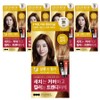 Elastine Salon de Color & Gray Hair Dyeing Cream, light brown, 5 pieces / 엘라스틴 살롱 드 컬러 앤 새치 염색 크림, 밝은갈색, 5개