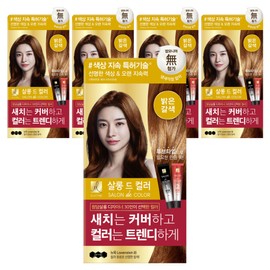 Elastine Salon de Color & Gray Hair Dyeing Cream, light brown, 5 pieces / 엘라스틴 살롱 드 컬러 앤 새치 염색 크림, 밝은갈색, 5개