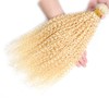 Blonde Bundles Human Hair 613 Bundles Blonde Curly Wave Bundles