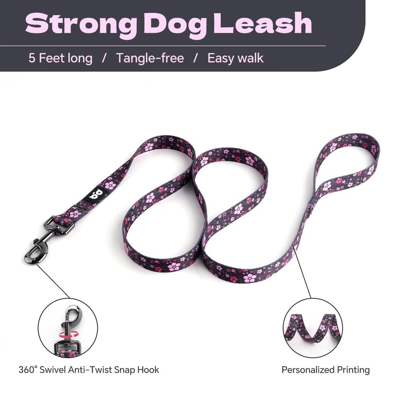 QQPETS Dog Harness Leash Set Adjustable Heavy Duty No Pull
