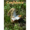 Gemmia Miniature Fairy Garden Rabbit Statues- Mini Schoolbag Rabbit(See Size)