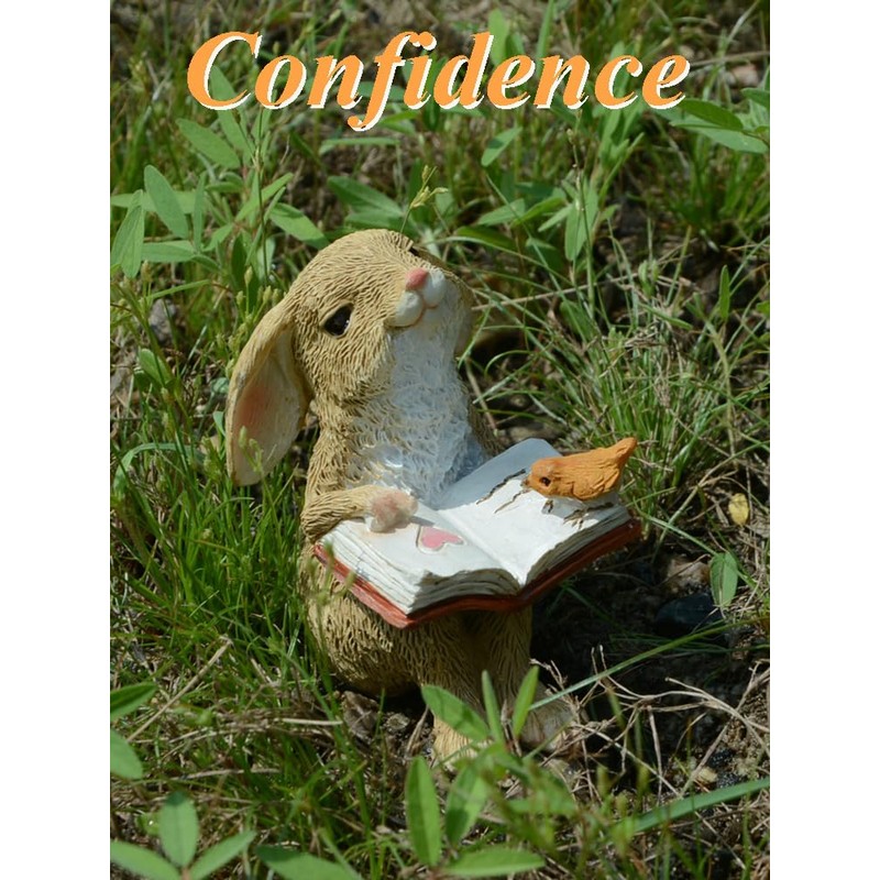 Gemmia Miniature Fairy Garden Rabbit Statues- Mini Schoolbag Rabbit(See Size)