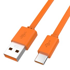 Type C Charging Cable Compatible with JBL Charge 4, Charge 5, Flip 5, Flip 6, Pulse 4, Clip 4, JR POP, GO 3, Extreme 3, Tuner 2 Speaker, Endurance Peak II Earbuds, 3.3ft (Orange)