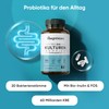 WeightWorld Pro Organic Culture Complex - 60 Billion CFU per
