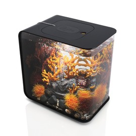 biOrb Flow 15 Aquarium with MCR Lighting - 4 Gallon, Black, 46869
