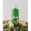 Vreeksha Curry Leaves Hair Shampoo