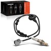 A-Premium - Sensor de oxígeno O2 compatible con modelos Honda