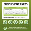 MFL Muscle Creatine | 3 Forms of Micronized Creatine |