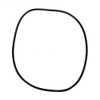 ALADDIN EQUIPMENT CO O-497-9 O-RING TANK TITAN RPM/FNS+