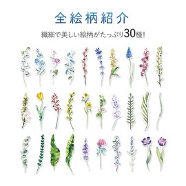 moin moin Bookmarks, Bookmarks, Bookmarks, Message Cards, Nameless Flowers, Pressed Flowers, Single Wheels, Leaf, Watercolor, Violet, Rose, Tulip, Set of 30