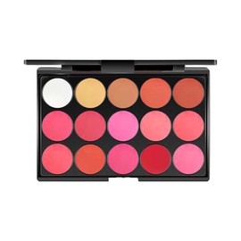Folpus Cosmetic Lip Palette with 15 Shades, Gift Set for New Users, Style B