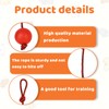 WNXBFO 3Pcs Rope Dog Toy, Ball On Rope For Dogs,