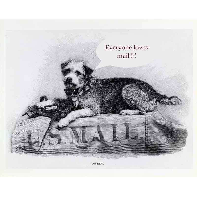 Fruit Postcard: Vintage Repro Print - Perfect Summer Peach