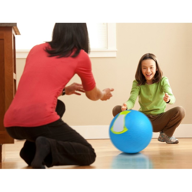 Yay Labs SoftShell Ice Cream Ball Blue, Pint Size