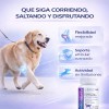 Complete Mobility Perros C/condroitina Y Glucosamina 60 Tab