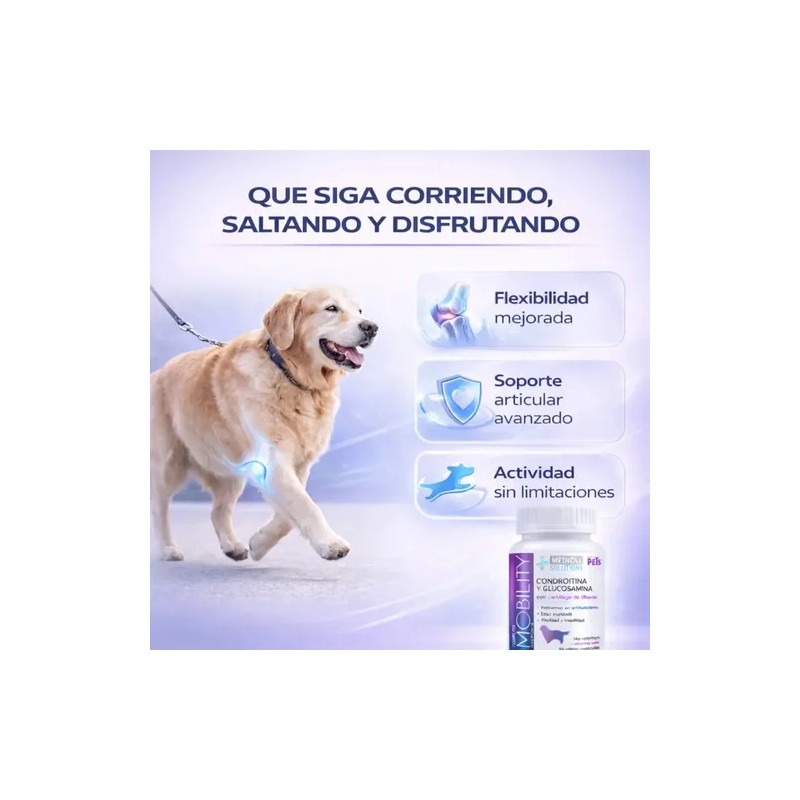 Complete Mobility Perros C/condroitina Y Glucosamina 60 Tab