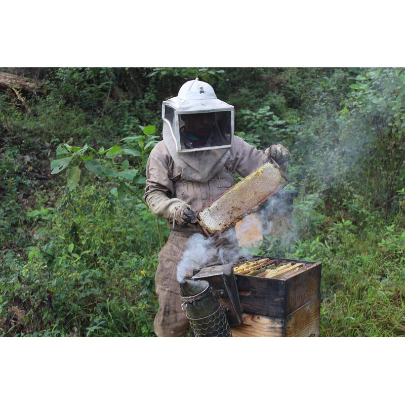 Miel Orgánica San Ignacio Cremosa Frasco (750 g)