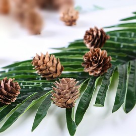 FSSTUD Pack of 150 1-2 cm Christmas Tree Pine Cones Mini Xmas Pine Cones Small Autumn Winter Pine Cones Vase Fillers Tine Cones Ornaments Pine Cones Decorations for Home Table