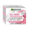GARNIER skin naturals facial Gel-cream with Hyaluronic acid, hydrating Face