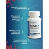 Nad Resveratrol 120 Cápsulas Live Nature Natural Antioxidant Supplement