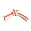 Mastery Tiny Tigers (White Belt/Orange Stripe, 0)