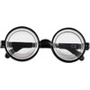 LR Supplies Black Nerd Glasses Round Thick Geek Fancy Dress