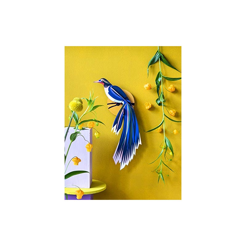 AVES DEL PARAISO, FLORES