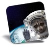 Destination Vinyl ltd Fridge Magnet - Funny Raccoon Astronaut Space