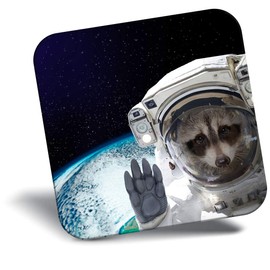Destination Vinyl ltd Fridge Magnet - Funny Raccoon Astronaut Space Joke 24085