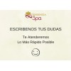 Brochas Corporales Abanico Y Cuadrada. 2 Pzas. Envío Gratis.