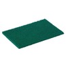 Jantex F959 Scourer Hardwearing Scourer (Pack of 10)