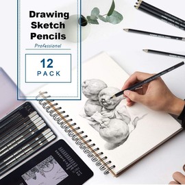 Surcotto Pencils Set, 9 Pencils with 3 Charcoal Pencils, 1 Sharpener, 1 Eraser, 2H H HB B 2B 4B 5B 6B 8B, Drawing Pencils for Beginners Artists, Professional Graphite Pencil