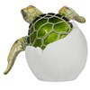 Cute Things Adorable Baby Sea Turtle Hatching from Egg 3