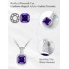 Birthstone Necklaces for Women, Tiny Crystal Pendant Women Necklace,S925 February