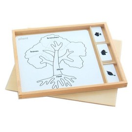 Montessori Botany Puzzle Activity Set