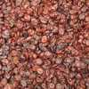 Dried Cranberries - 5 lb.