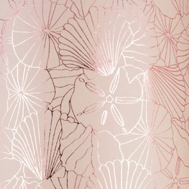 Gift Wrap - Shells - Beige Blush/Rosebud Pink